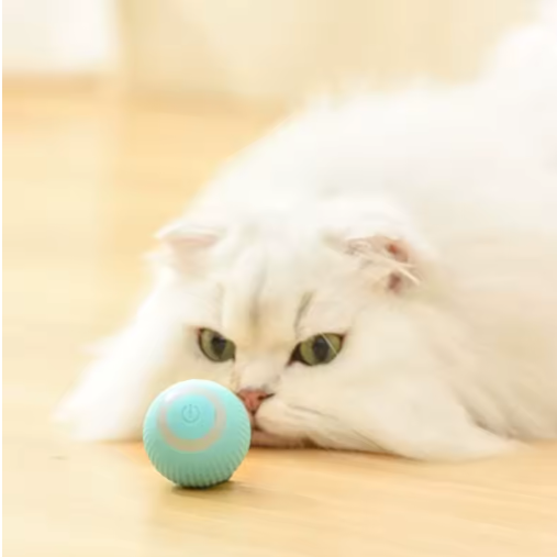 PELOTA RECARGABLE PETFUN®